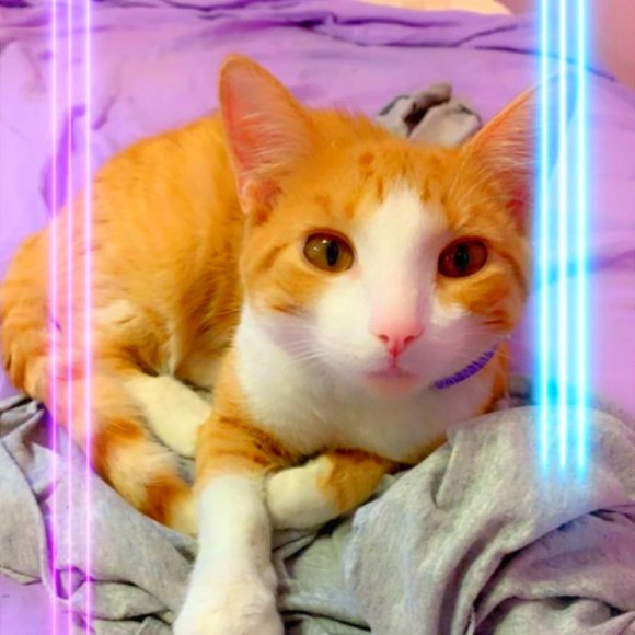 ME!! - Picture 2 of 6